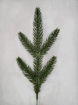 12-67