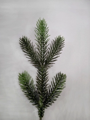 12-12