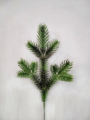 12-111